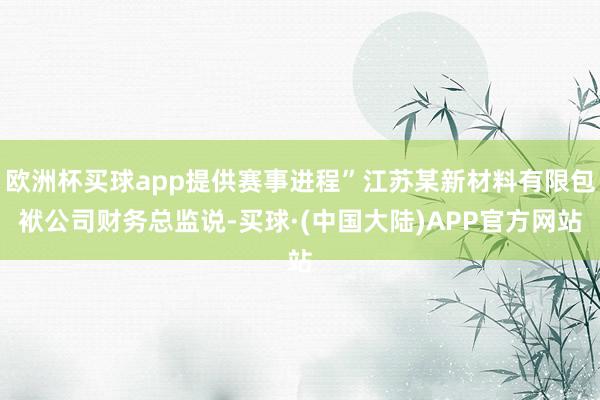 欧洲杯买球app提供赛事进程”江苏某新材料有限包袱公司财务总监说-买球·(中国大陆)APP官方网站