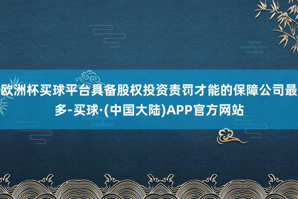 欧洲杯买球平台具备股权投资责罚才能的保障公司最多-买球·(中国大陆)APP官方网站