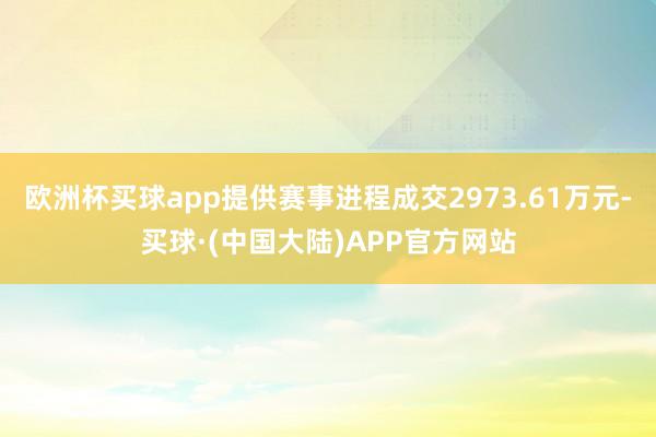 欧洲杯买球app提供赛事进程成交2973.61万元-买球·(中国大陆)APP官方网站