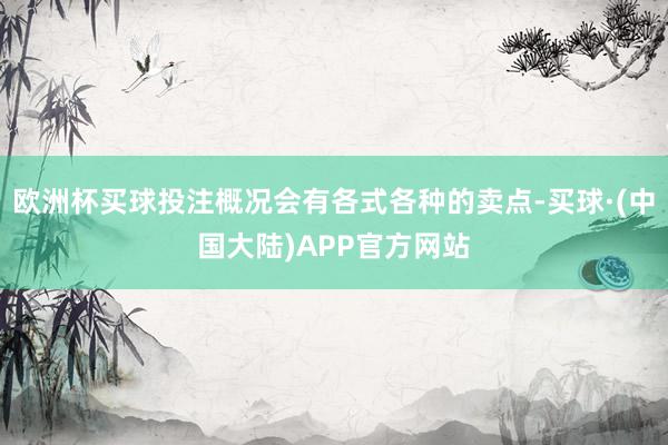 欧洲杯买球投注概况会有各式各种的卖点-买球·(中国大陆)APP官方网站