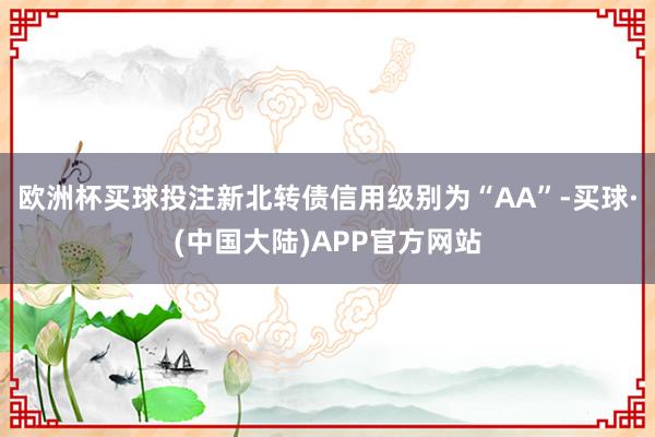 欧洲杯买球投注新北转债信用级别为“AA”-买球·(中国大陆)APP官方网站