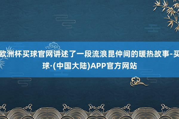 欧洲杯买球官网讲述了一段流浪昆仲间的暖热故事-买球·(中国大陆)APP官方网站