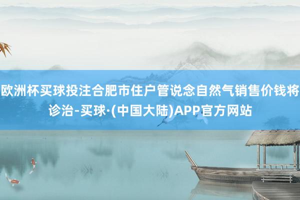 欧洲杯买球投注合肥市住户管说念自然气销售价钱将诊治-买球·(中国大陆)APP官方网站