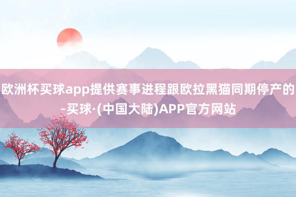 欧洲杯买球app提供赛事进程跟欧拉黑猫同期停产的-买球·(中国大陆)APP官方网站