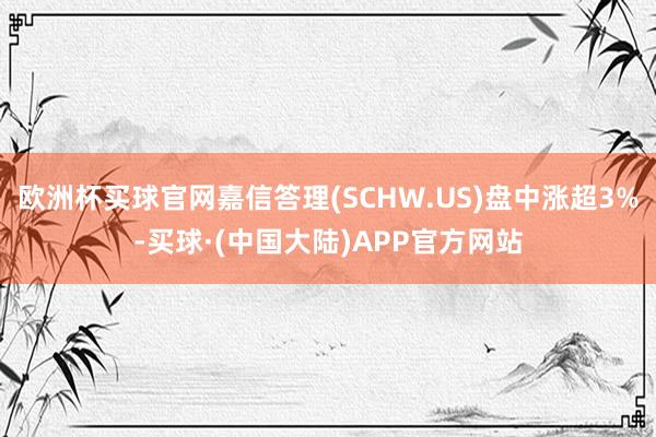 欧洲杯买球官网嘉信答理(SCHW.US)盘中涨超3%-买球·(中国大陆)APP官方网站