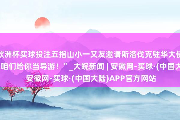 欧洲杯买球投注五指山小一又友邀请斯洛伐克驻华大使杜琪雅来海南，“咱们给你当导游！”_大皖新闻 | 安徽网-买球·(中国大陆)APP官方网站