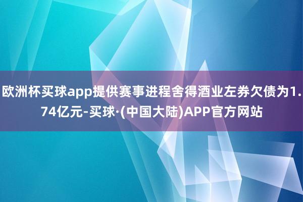 欧洲杯买球app提供赛事进程舍得酒业左券欠债为1.74亿元-买球·(中国大陆)APP官方网站