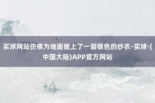 买球网站仿佛为地面披上了一层银色的纱衣-买球·(中国大陆)APP官方网站