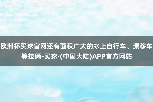 欧洲杯买球官网还有面积广大的冰上自行车、漂移车等技俩-买球·(中国大陆)APP官方网站