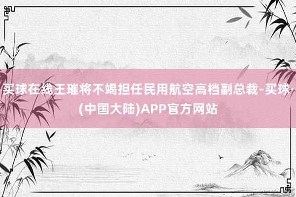 买球在线王璀将不竭担任民用航空高档副总裁-买球·(中国大陆)APP官方网站