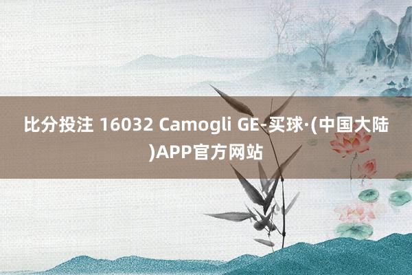 比分投注 16032 Camogli GE-买球·(中国大陆)APP官方网站