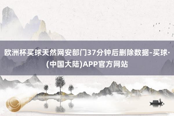 欧洲杯买球天然网安部门37分钟后删除数据-买球·(中国大陆)APP官方网站